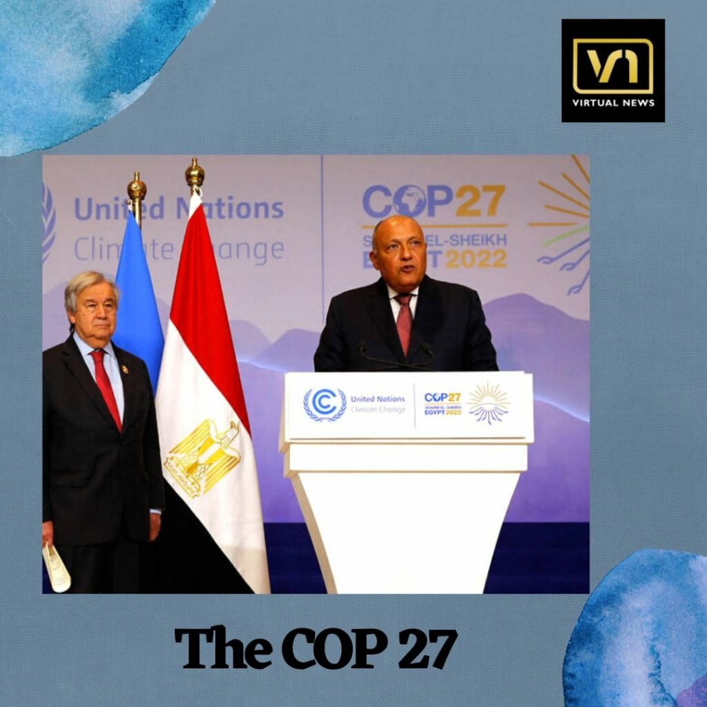 The COP 27